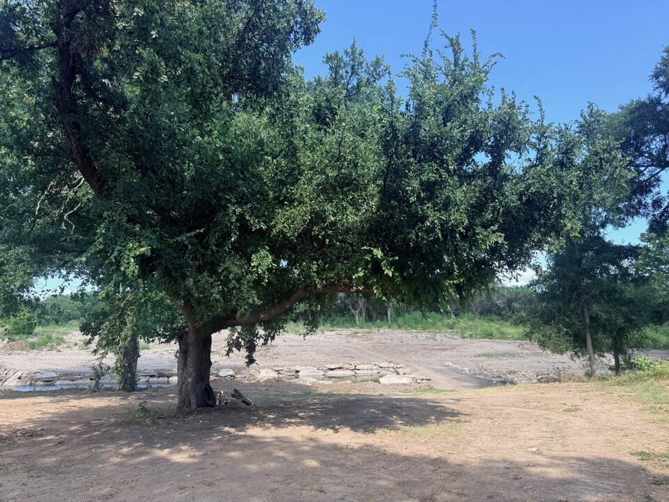 The same tree after the flood. It is still standing and in
                    leaf, but the swing is gone, the grass has been stripped to
                    bare dirt and gravel, and the creek has cut a new channel
                    behind it.