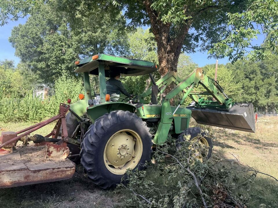 A green tractor fitted with a brush cutter working beneath
                    the trees, with cut limbs and brush piled in the
                    foreground.