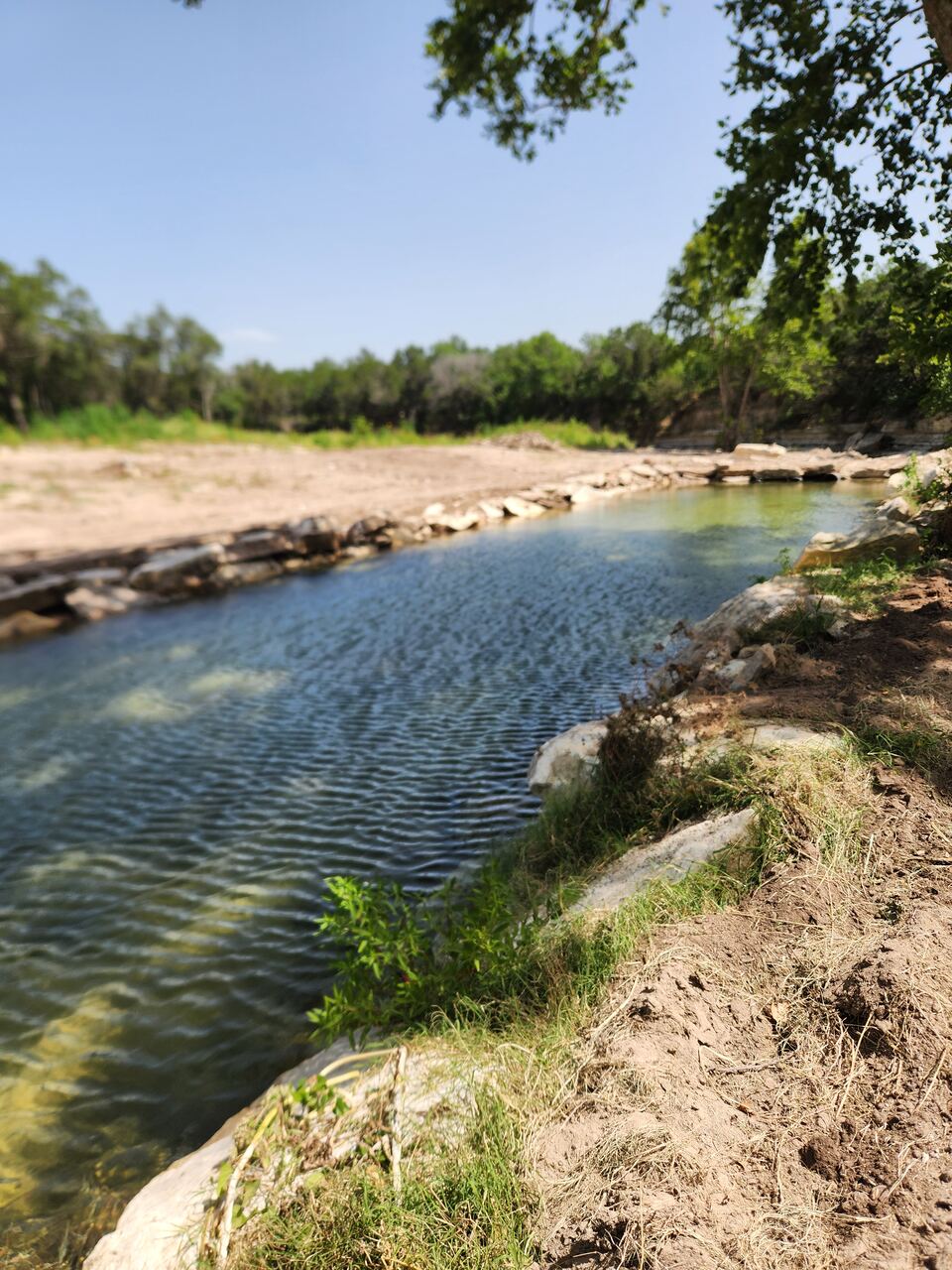 A restored stretch of Sandy Creek seen looking upstream:
                  clear water running between banks rebuilt in limestone,
                  with young green plantings taking hold along the near
                  edge and trees closing in beyond.